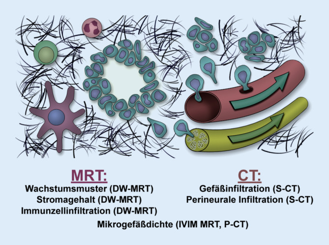 graphic file with name 292_2021_949_Fig1_HTML.jpg