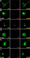 FIG. 7.