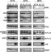 FIG. 8.