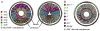 Fig. 10