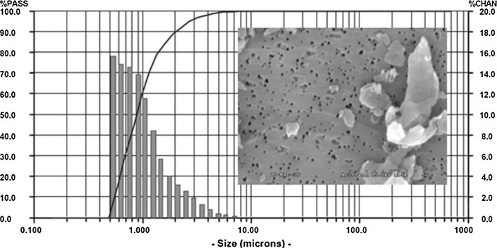 Fig. 1