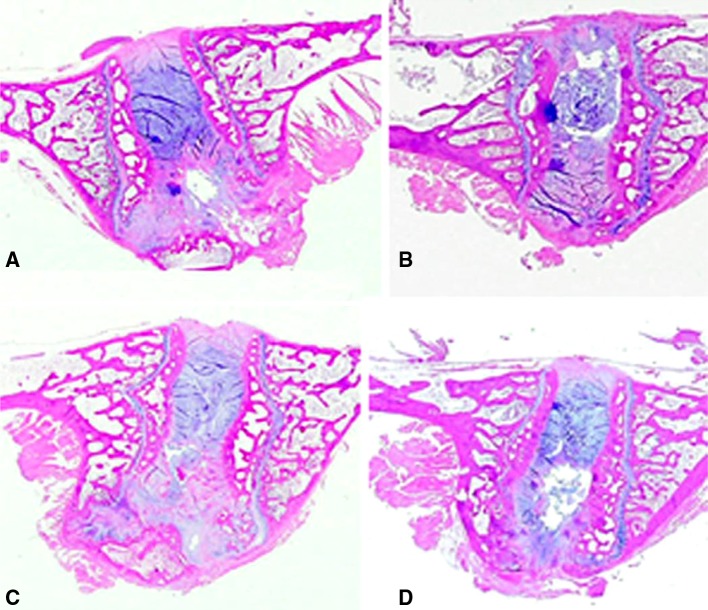 Fig. 6