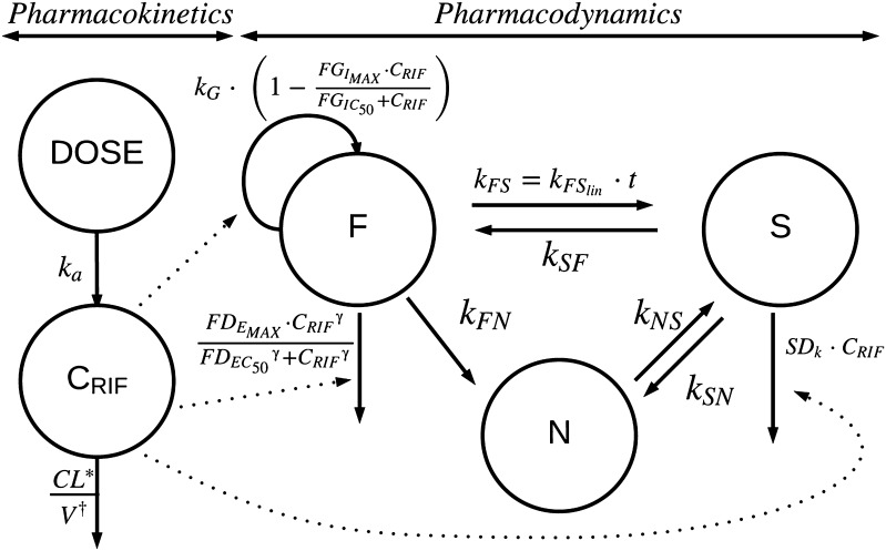 Fig. 1