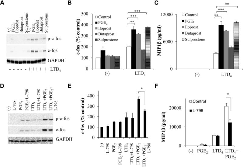 FIG 3