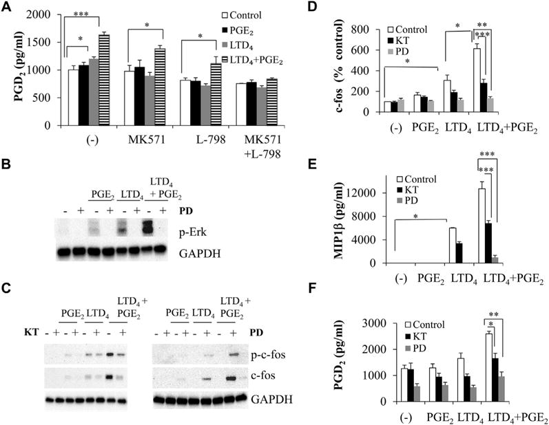 FIG 6