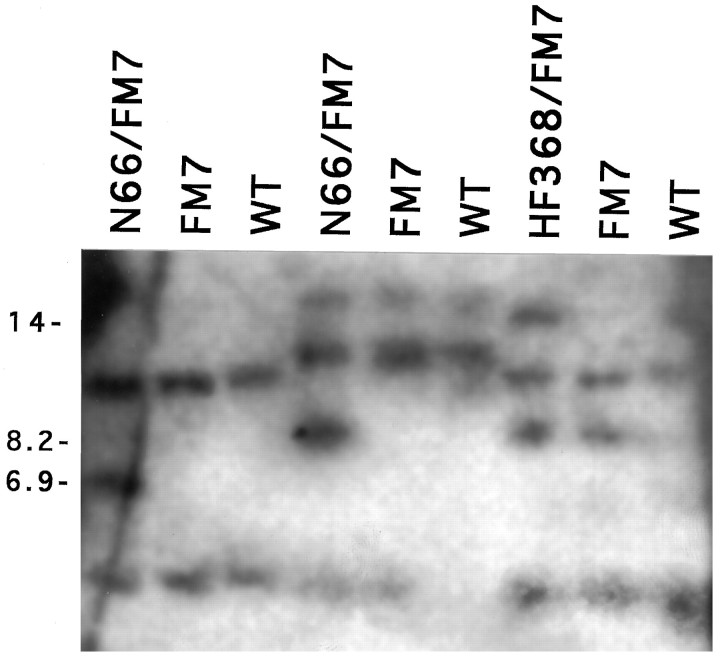 Fig. 7.