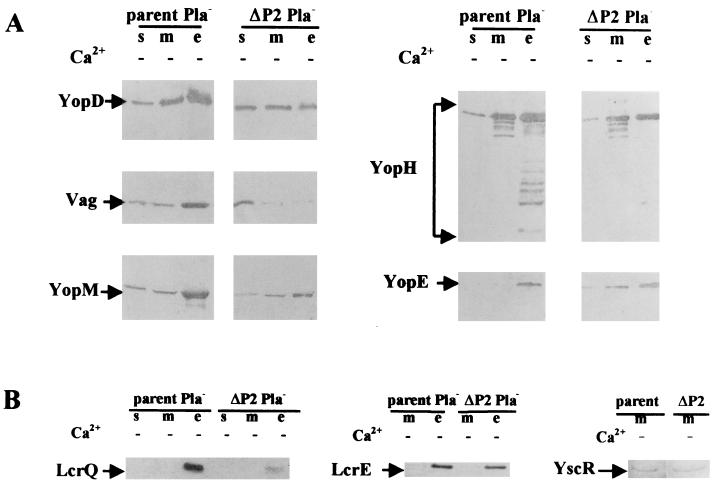 FIG. 6