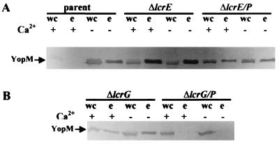 FIG. 11