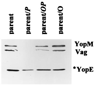 FIG. 10