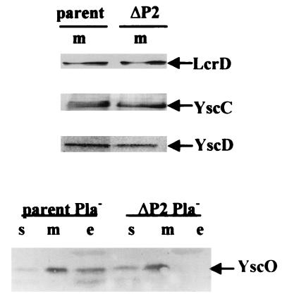 FIG. 9