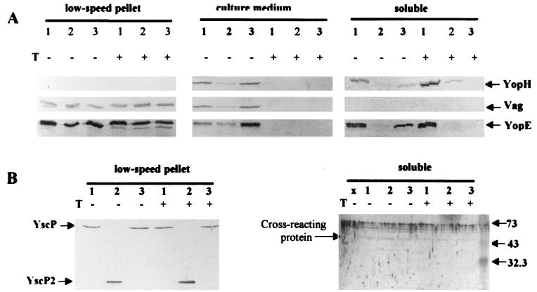 FIG. 12