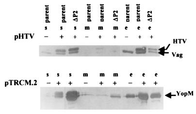 FIG. 8