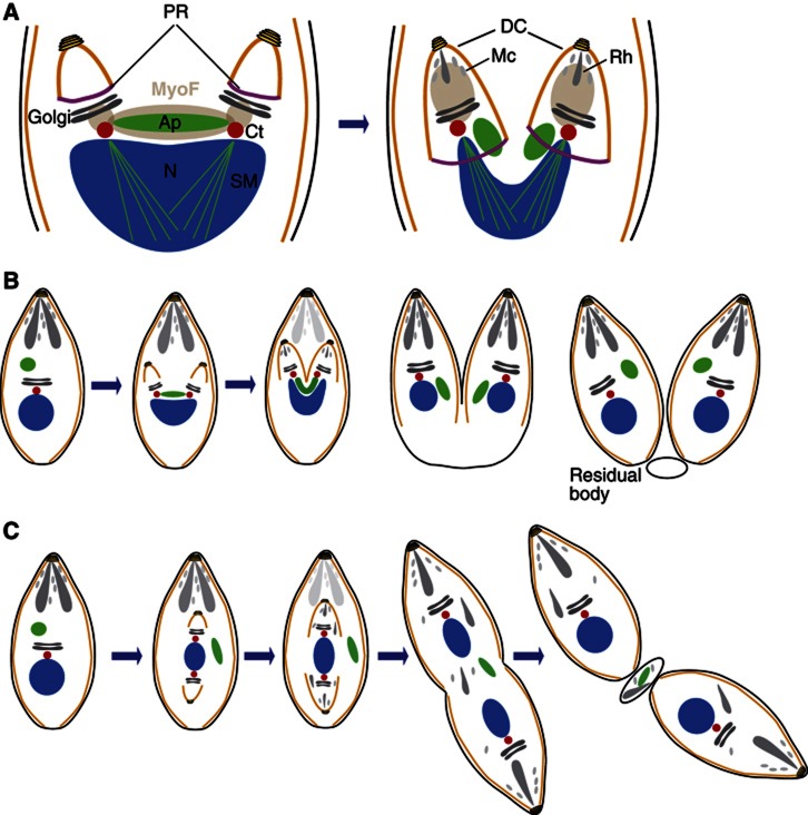 Figure 9