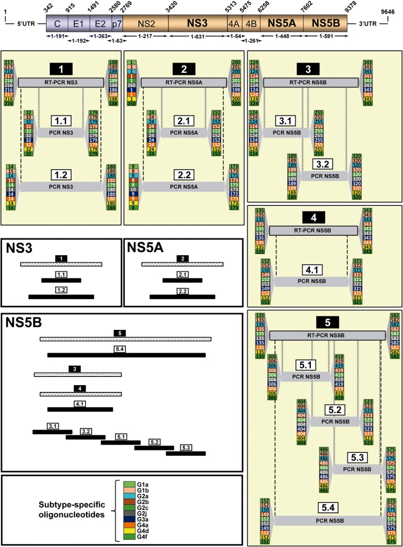 Fig. 2