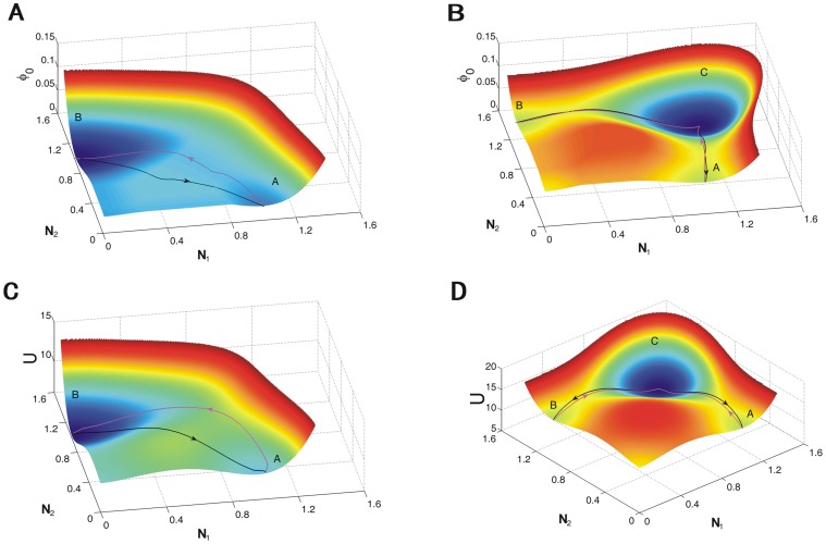 Figure 13