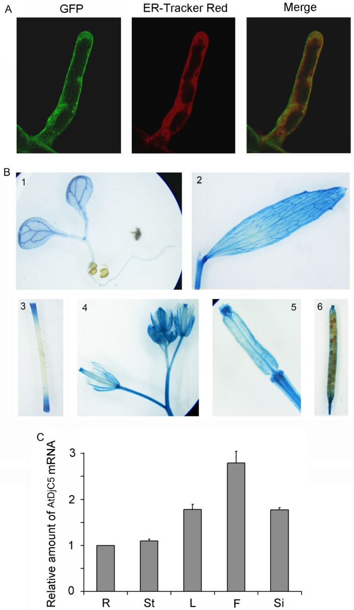 Figure 4