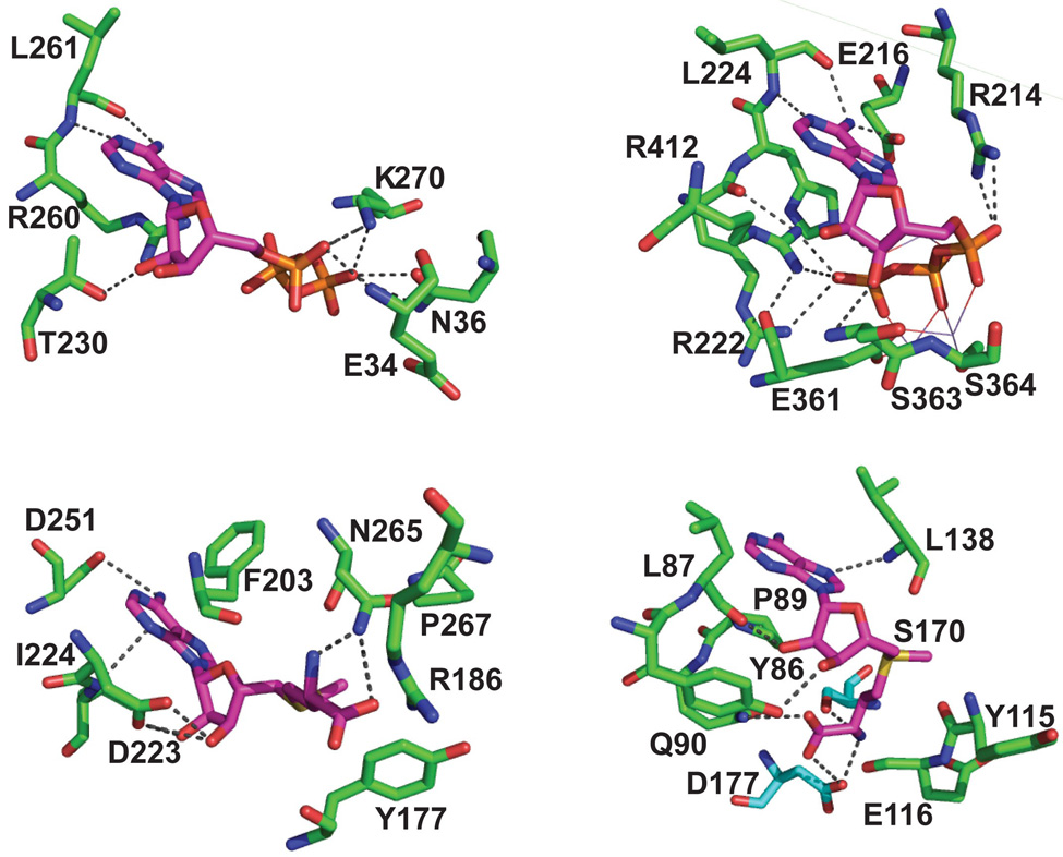 Figure 7