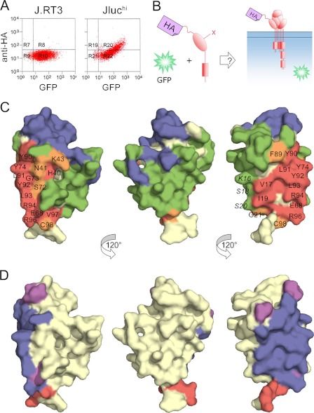 FIGURE 5.