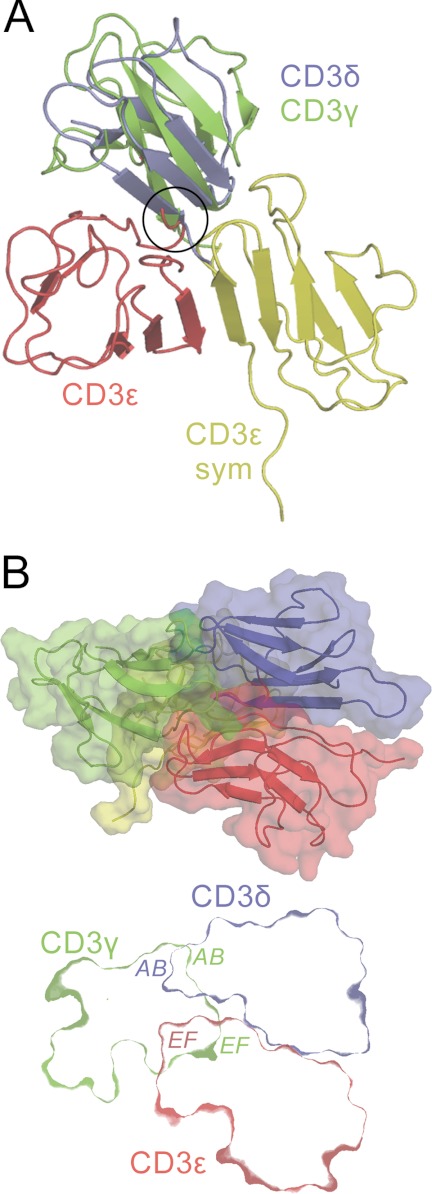 FIGURE 2.