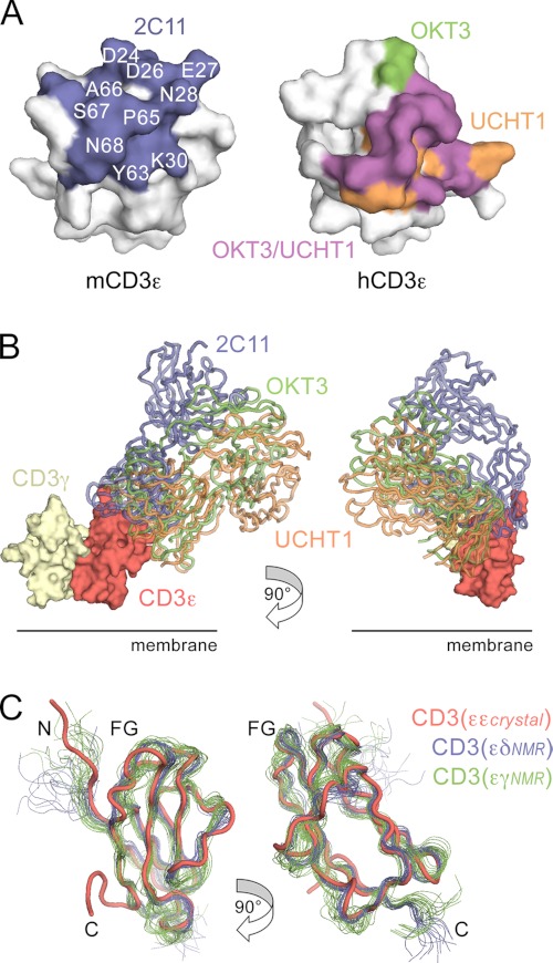 FIGURE 3.