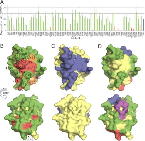 FIGURE 4.