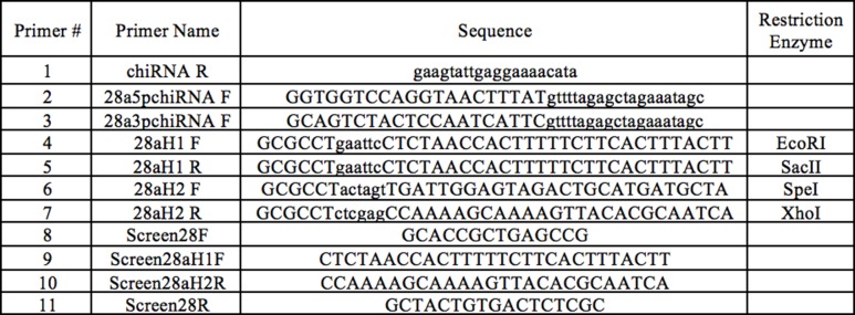 Figure 5—figure supplement 1.