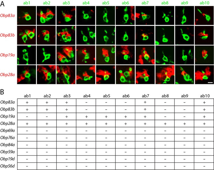 Figure 3.