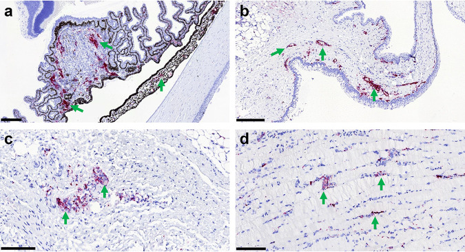 FIG 6