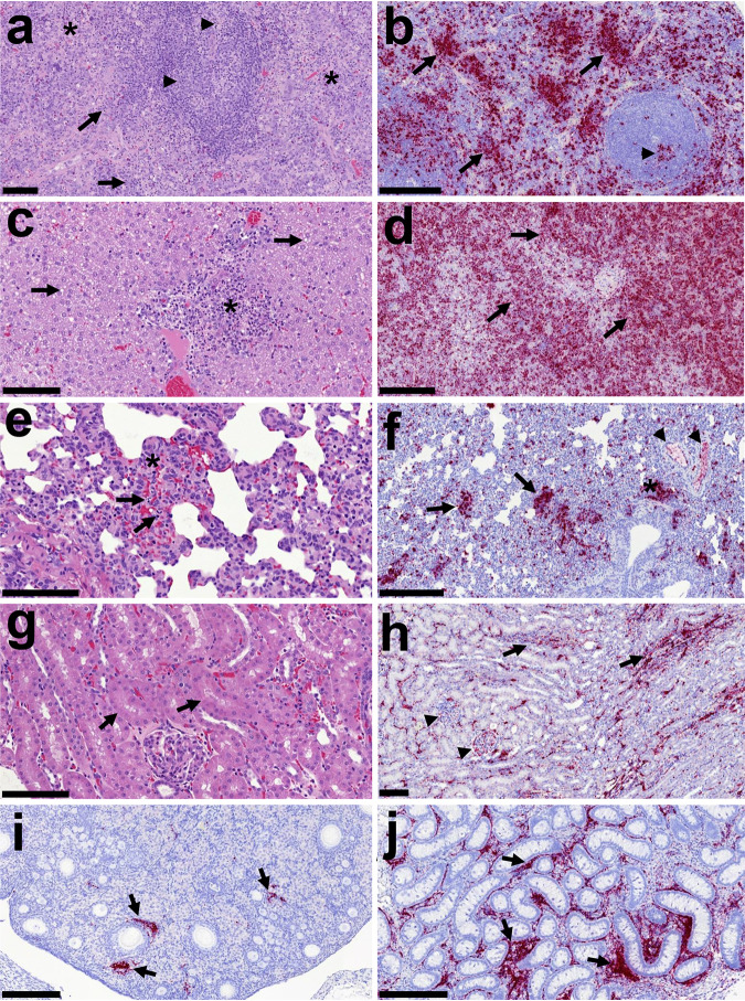 FIG 5