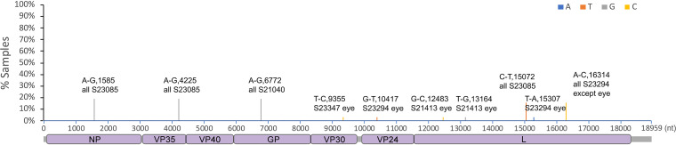 FIG 7