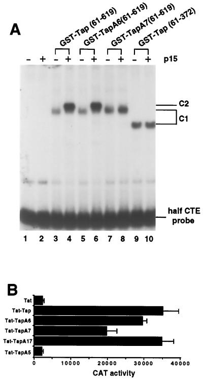 FIG. 5