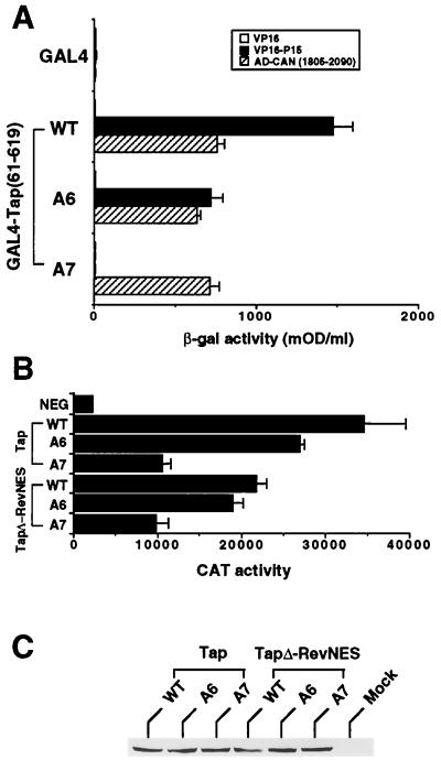 FIG. 4