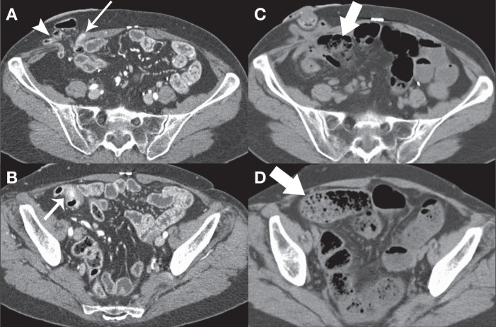 Figure 3)