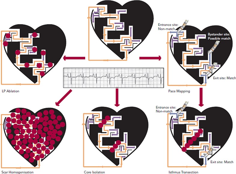 Figure 4: