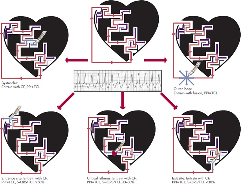 Figure 3: