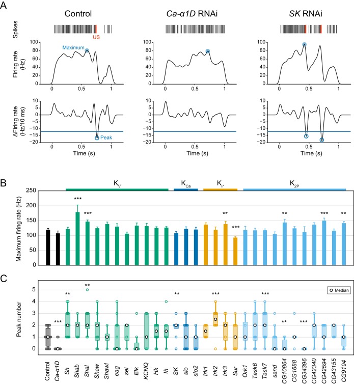 Figure 2—figure supplement 2.