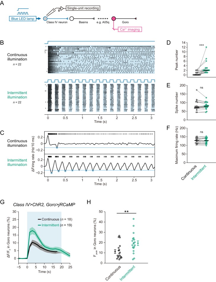 Figure 3—figure supplement 5.