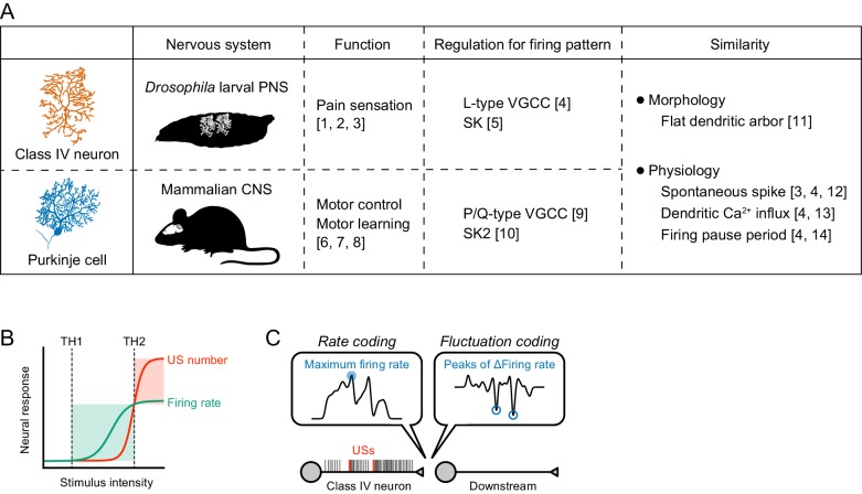 Figure 4—figure supplement 1.