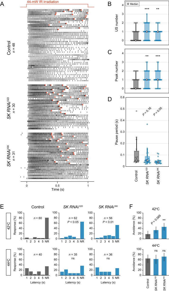 Figure 3—figure supplement 2.