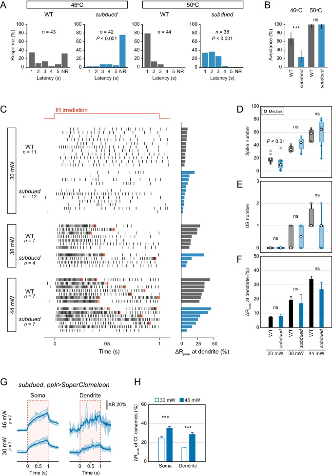 Figure 2—figure supplement 1.