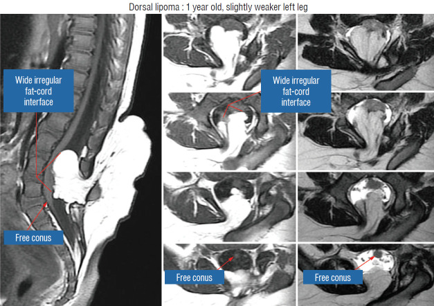 Fig. 9.