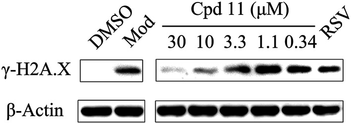 Fig. 6