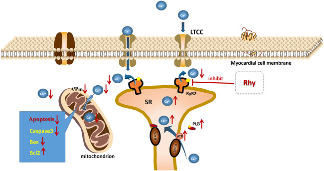 FIGURE 10