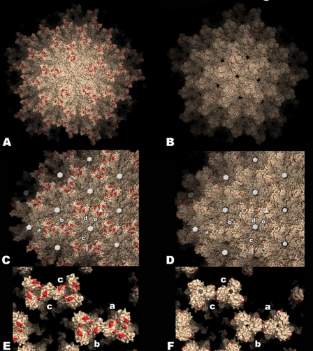 FIG. 4.