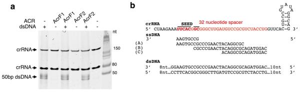 Extended Data Figure 9