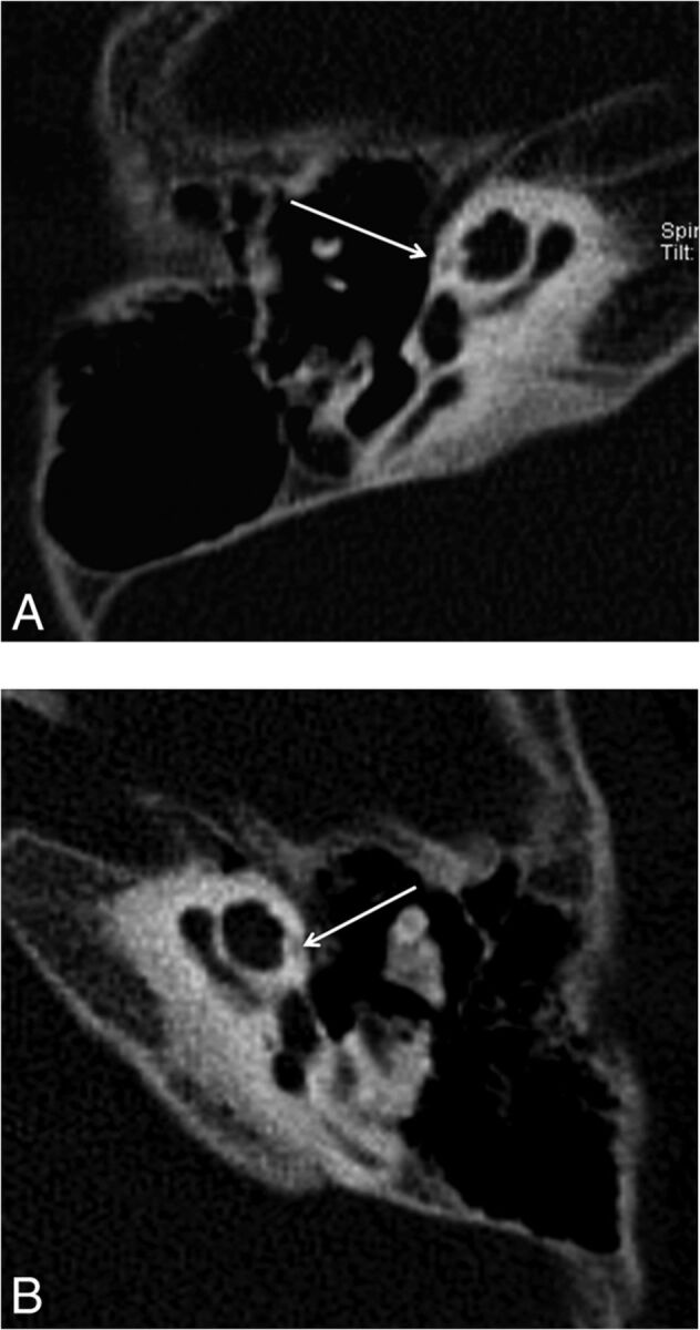 Fig 1.