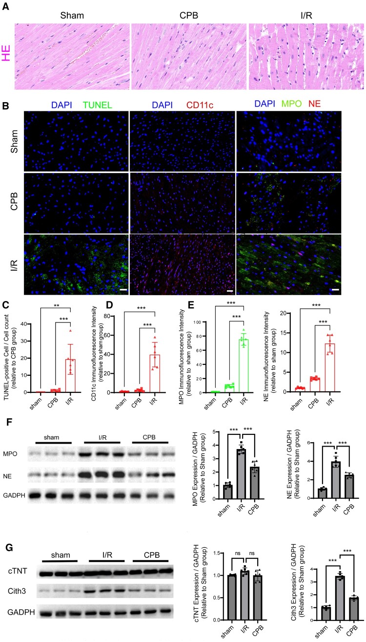 Figure 3: