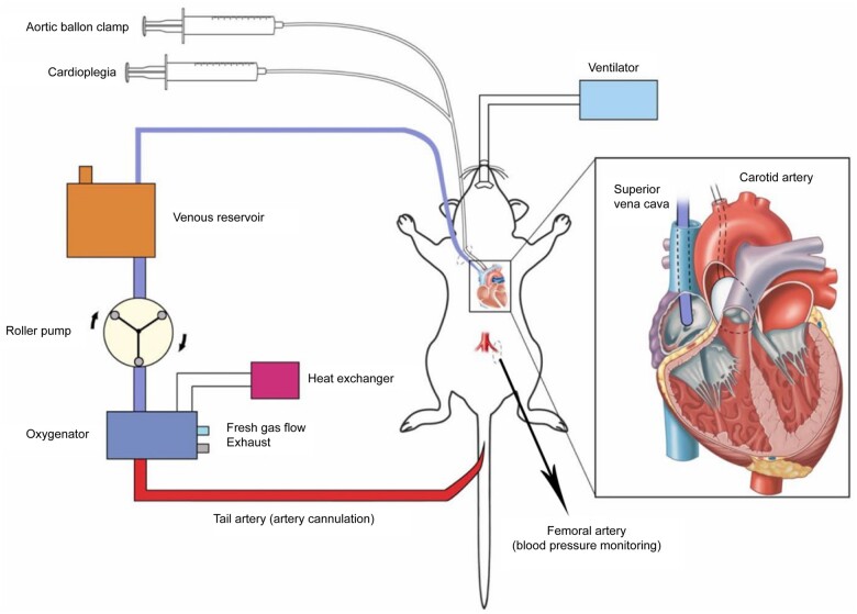 Figure 1: