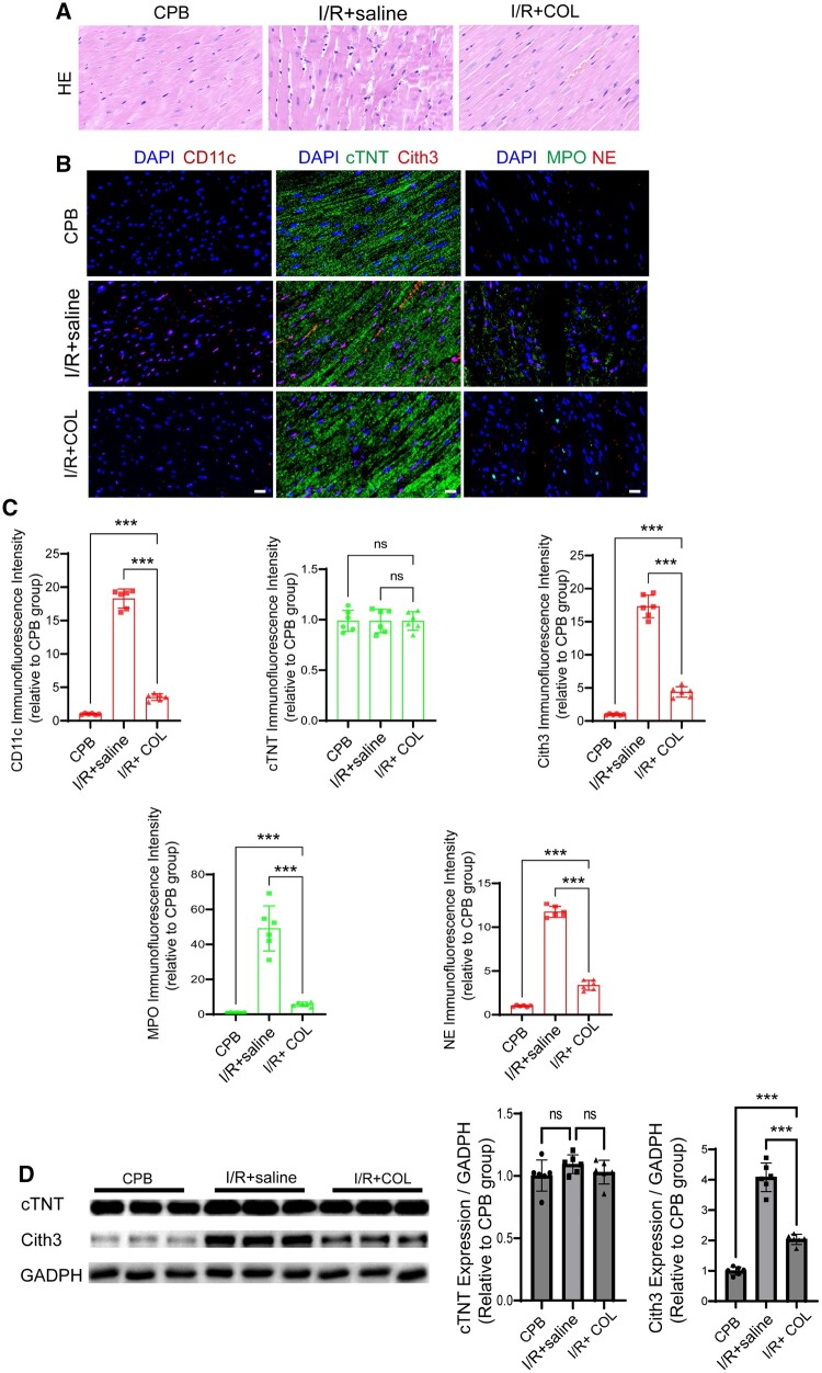 Figure 4: