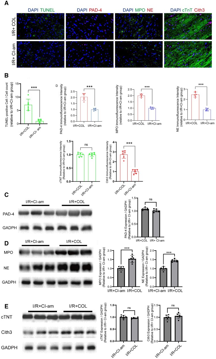 Figure 7: